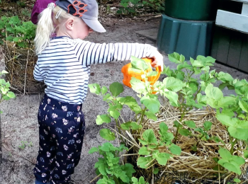 Natur- und Waldkindergarten Gnarrenburg Sommer